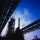 Zebra Distributor - United States